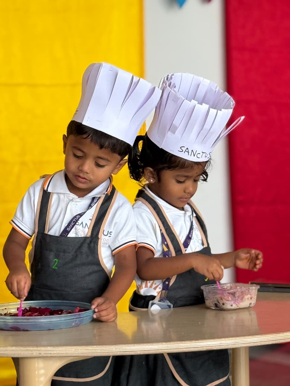 Shamshabad School Activity